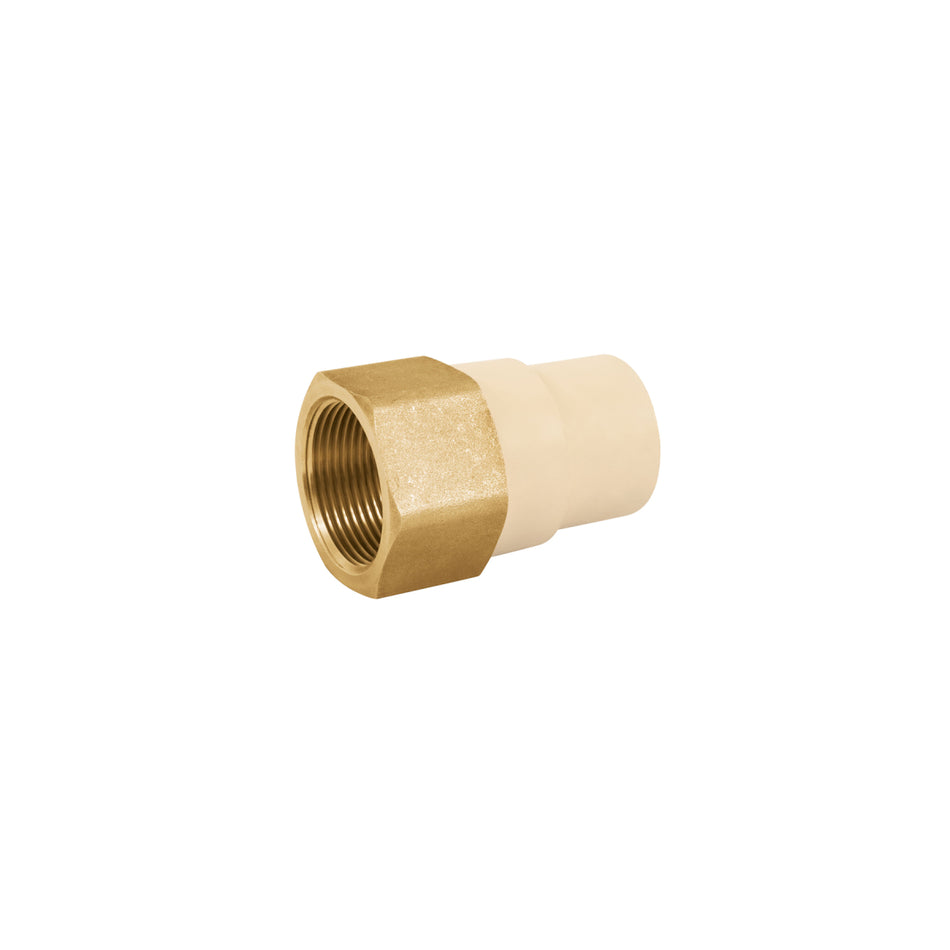 Adaptador Hembra De Cpvc 1-1/4' Con Inserto De Latón, CPVC-644, Foset