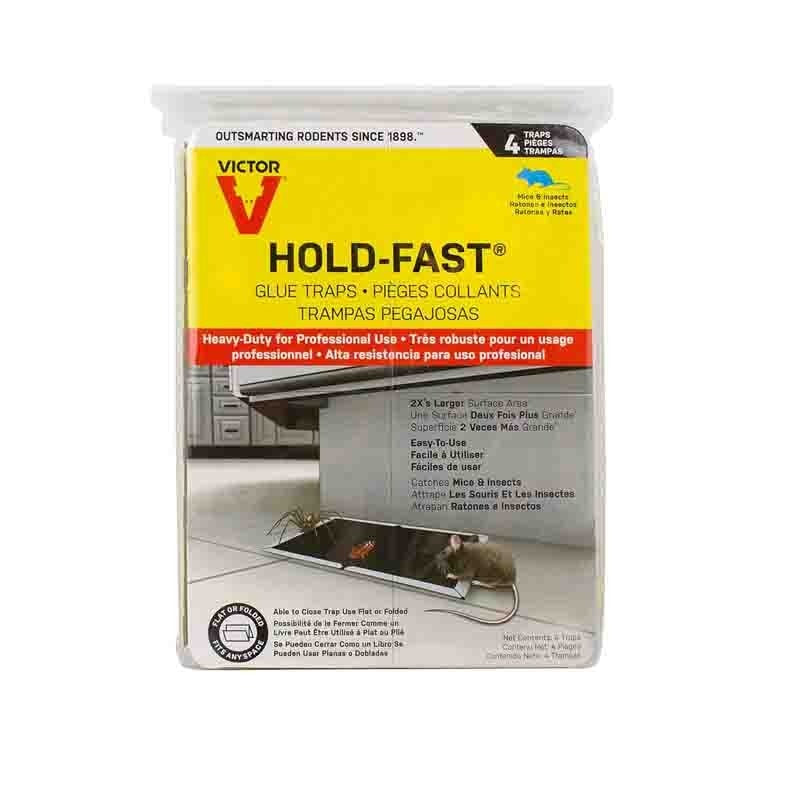 Trampa para Ratón Engomada 4Pack Victor Vic668Tri: ¡Atrapa roedores ...