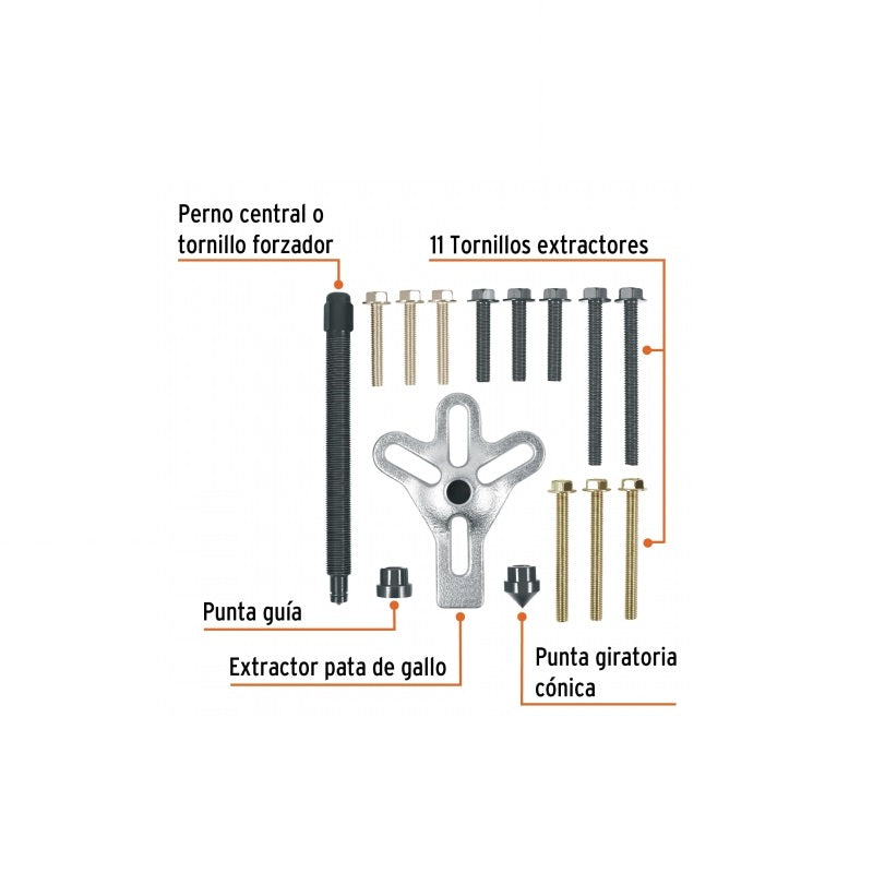 Extractor de Tornillos para Pata de Gallo - Juego de 15 Piezas – FerreFlex