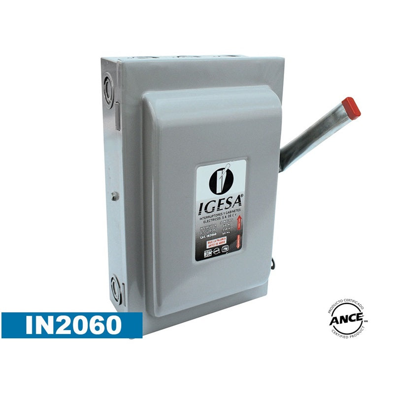 Interruptor De Seguridad 2 X 60 Igesa